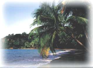 Dominica 1